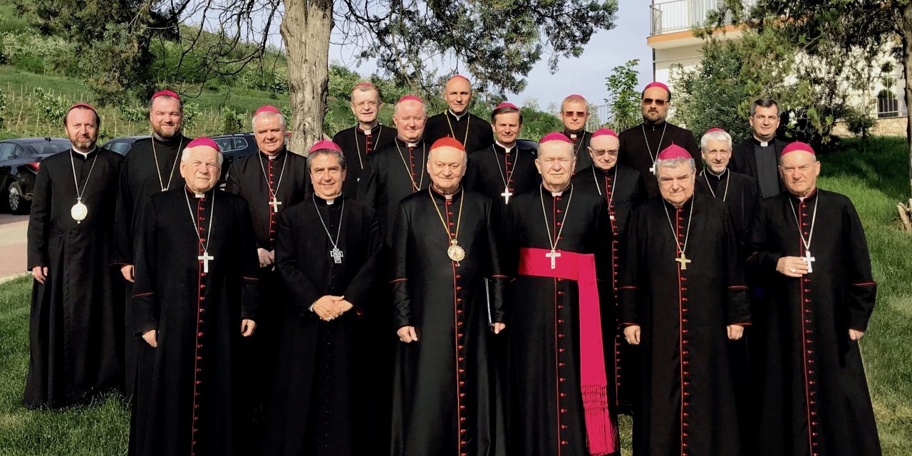 Sesiunea plenară a Conferinței Episcopale, 10-12 aprilie 2019