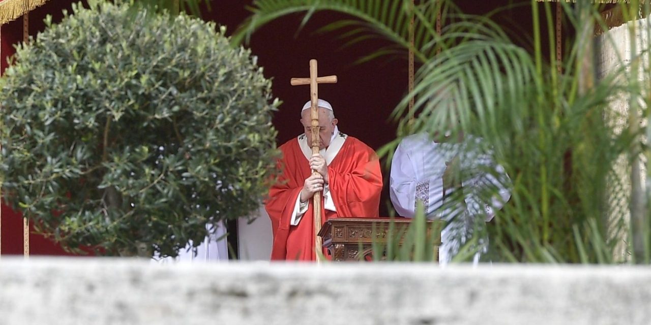 Papa Francisc în Duminica Floriilor: Isus ne învață să renunțăm la triumfalism