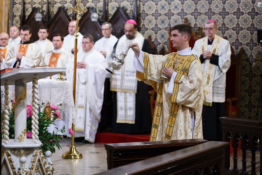 Întâlnirea delegațiilor liturgice responsabile pentru vizita Papei Francisc