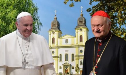 Mulțumirile Sfântului Părinte adresate Cardinalului Lucian