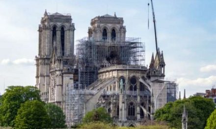 Refacerea Catedralei Notre-Dame să respecte finalitatea ei religioasă și cultuală