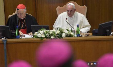 ”Nu-L dați afară pe Duhul Sfânt”: papa Francisc, la Sinodul despre Amazonia
