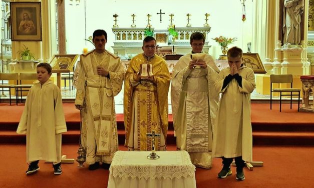 Vizitatorul Apostolic pentru greco-catolicii din diaspora europeană la Dublin