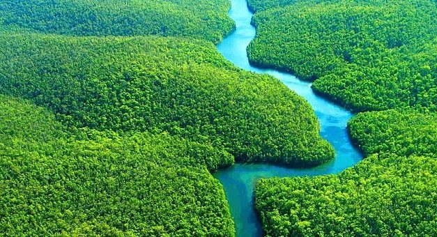 Mediul, dar și omul. Un rezumat al exortației papei Francisc ”Querida Amazonia”