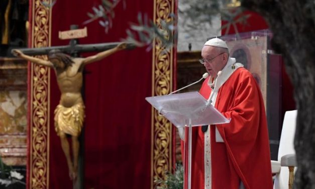 Duminica Floriilor. Papa Francisc: Să spunem DA iubirii, cum a făcut Isus pentru noi