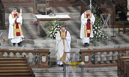 Cardinalul Christoph Schönborn: Avem nevoie de slujire, compasiune și disponibilitate