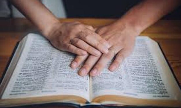 DIN NOU TEMA IERTĂRII  LA CATEHEZA ON-LINE PENTRU ADULŢI ŞI FAMILII