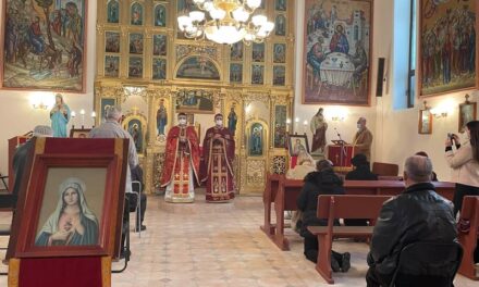 Vizita Părintelui vicar cu preoții în Parohia Haieu