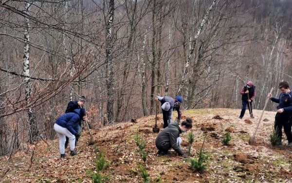 Grija pentru natură – participare la Creația Divină