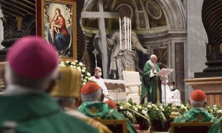 Papa Francisc: Sinodul, timp pentru a întâlni, a asculta și a discerne cu ajutorul Duhului Sfânt