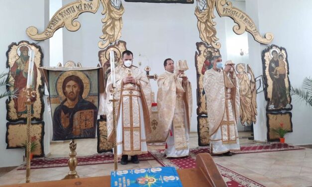 Vizita Părintelui Vicar în parohia din Valea lui Mihai