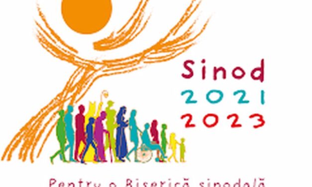 CHESTIONARUL pentru Sinod se poate completa acum și online!