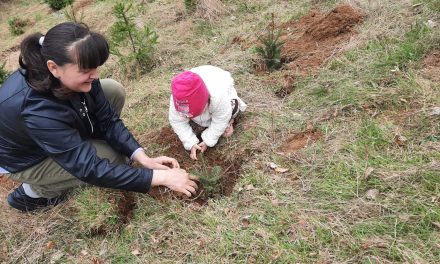 Plantare de puieți la Centrul spiritual Făgetu: împreună familii cu copii și tineri din Protopopiatul de Șimleu