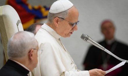 Papa Leon al XIV-lea la Audiența Generală de miercuri, 27 august 2025