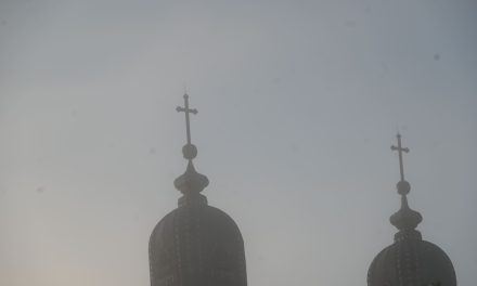 Telegrama Sfântului Părinte Papa Leon al XIV-lea la moartea Eminenței Sale Cardinalul Lucian Mureșan