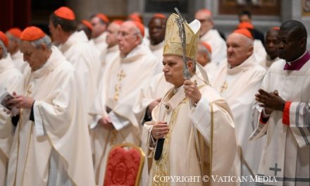 Papa Leon al XIV-lea: Colegiul Cardinalilor nu este o „echipă de experți”, ci o comunitate de credință