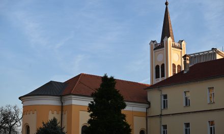 Hramul Seminarului Teologic Greco-Catolic din Oradea – 29–30 ianuarie 2026