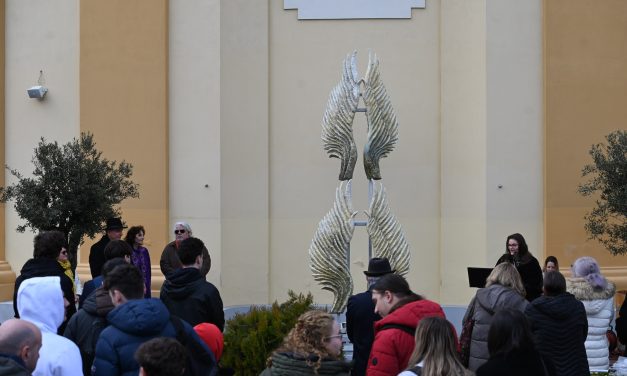 Vernisajul instalației „ARIPILE LIBERTĂȚII” a sculptorului Andrei Marina-Voith
