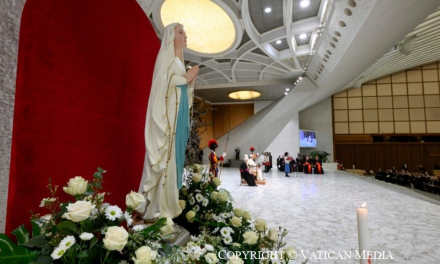 Audiența generală a Papei Leon al XIV-lea din data de 11 februarie 2026