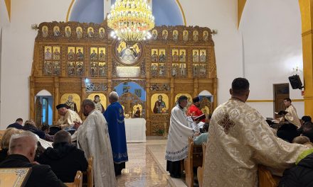 Ziua Mondială a Bolnavului, marcată în Protopopiatul Beiuș