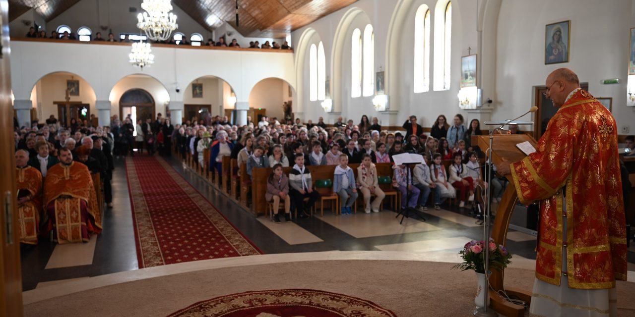 Un an de har sub ocrotirea Sfântului Francisc