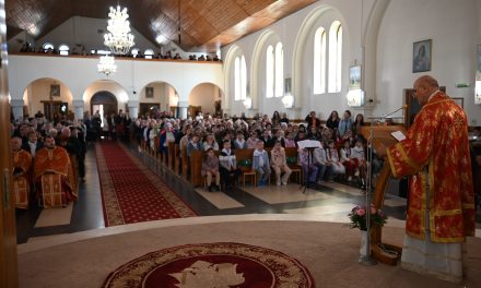 Un an de har sub ocrotirea Sfântului Francisc