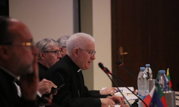 COMECE: Europa trebuie să-și regăsească rolul în promovarea păcii într-un context global marcat de conflicte