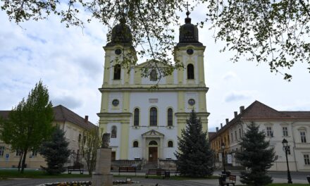 Comunicat: Întâlnirea Națională a Reuniunilor Mariane va avea loc la Blaj, în perioada 1-3 mai 2026