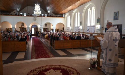 Întâlnirea Eparhială a Familiilor la Sanctuarul Eparhial „Maica Domnului” din Oradea