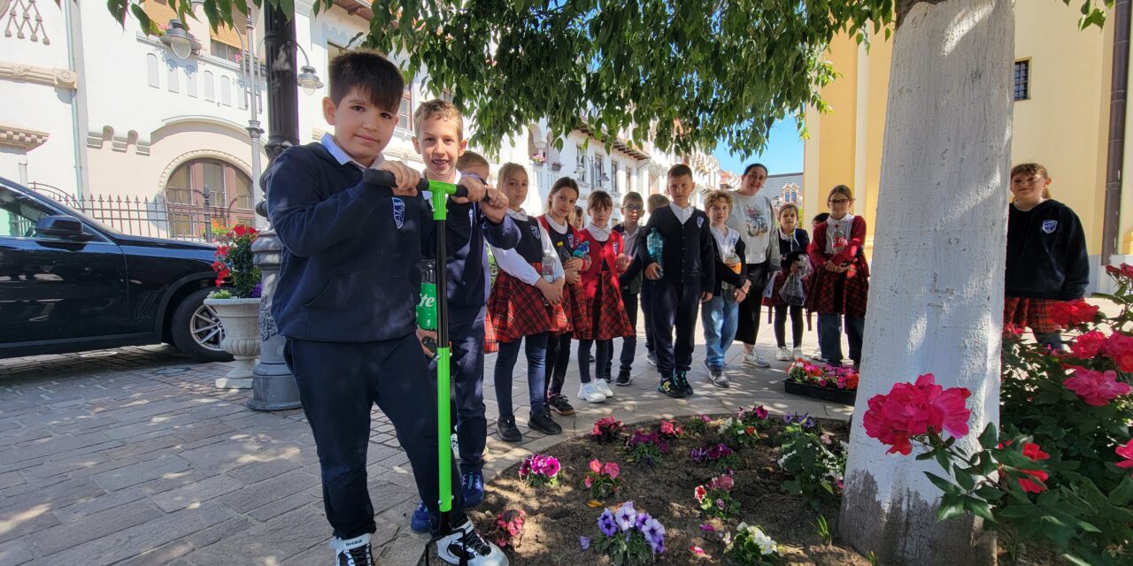 Acțiune de înfrumusețare a curții Catedralei „Sfântul Nicolae” din Oradea