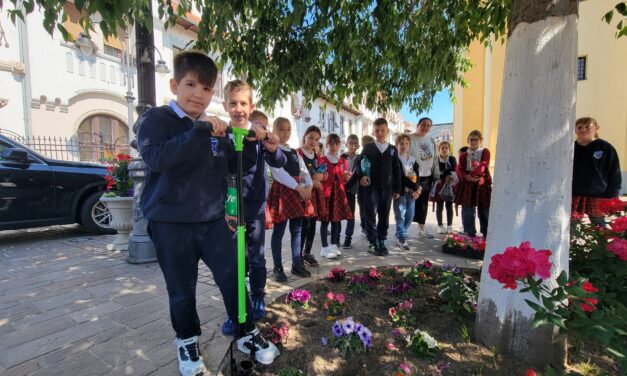 Acțiune de înfrumusețare a curții Catedralei „Sfântul Nicolae” din Oradea