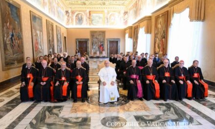 Papa Leon al XIV-lea: era hipermediatică generează noi forme de sărăcie spirituală