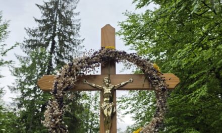 Pe urmele Fericiților Episcopi Martiri Greco-Catolici la Stâna de Vale, a V-a ediție a pelerinajului dedicat memoriei lor