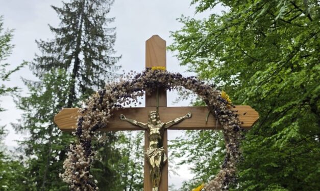 Pe urmele Fericiților Episcopi Martiri Greco-Catolici la Stâna de Vale, a V-a ediție a pelerinajului dedicat memoriei lor