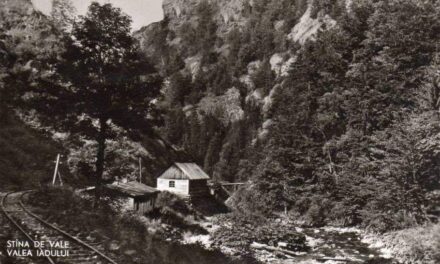 Stâna de Vale: locul unde istoria Bisericii Greco-Catolice continuă