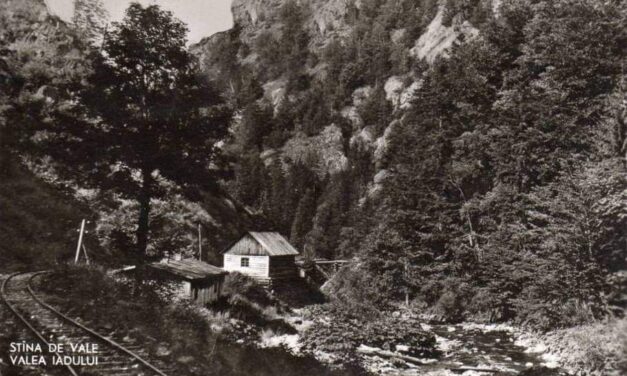 Stâna de Vale: locul unde istoria Bisericii Greco-Catolice continuă