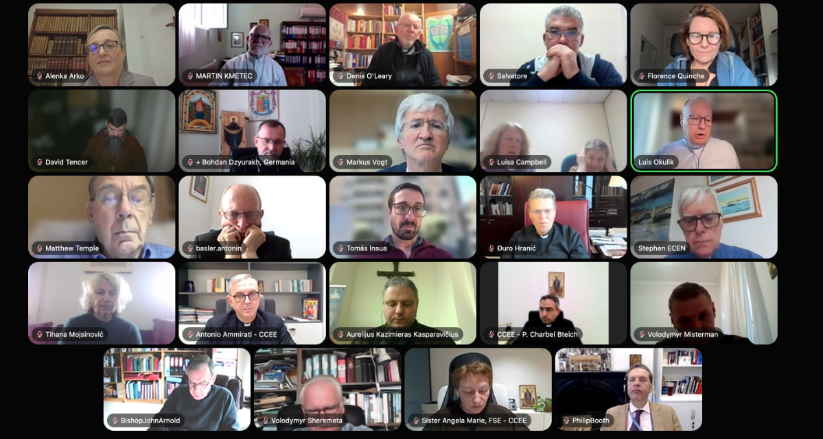 Grija față de Creație și Inteligența artificială: întâlnirea online a Departamentului pentru Ocrotirea Creației din cadrul CCEE