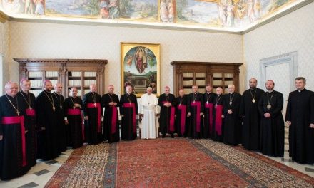”Sfântul Părinte se pregătește să vină în România”: I.P.S. Ioan Robu, după audiența la papa Francisc